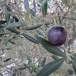 דירה Korcula - 2, Prigradica - Ivan Blato (Korcula)