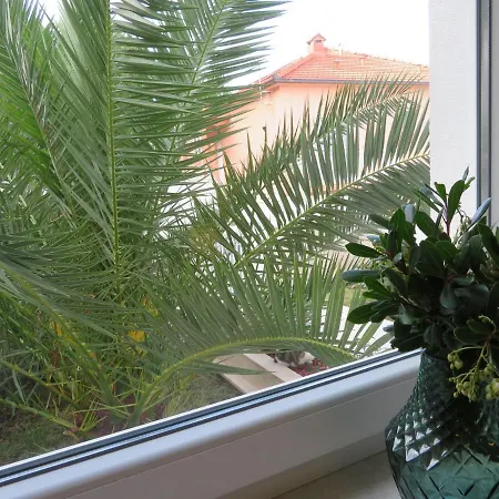 公寓 Korcula - 2, Prigradica - Ivan *