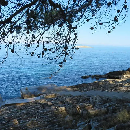 Korcula - 2, Prigradica - Ivan 公寓 *