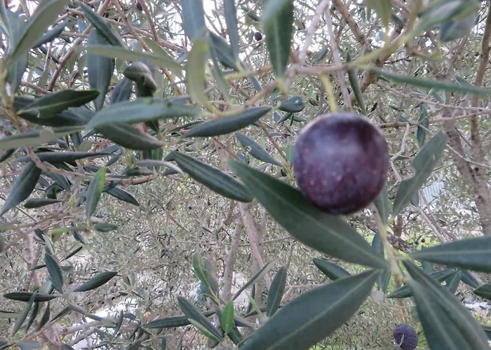 公寓 Korcula - 2, Prigradica - Ivan Blato (Korcula)