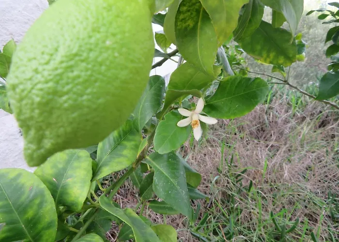 Korcula - 2, Prigradica - Ivan